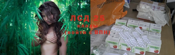 прущая мука Иннополис