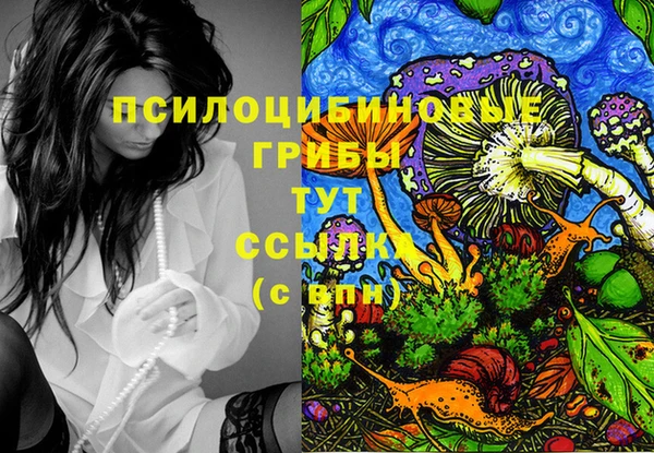 метадон Инсар