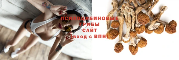 метадон Инсар