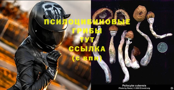 a pvp Инта