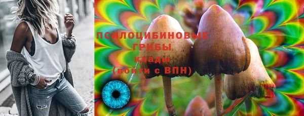 прущая мука Иннополис