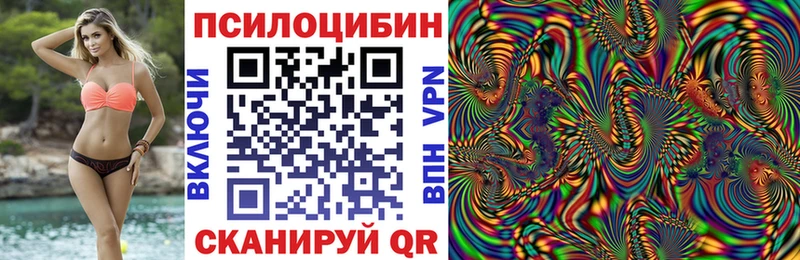 Купить  Дигора  Галлюциногенные грибы Psilocybine cubensis 