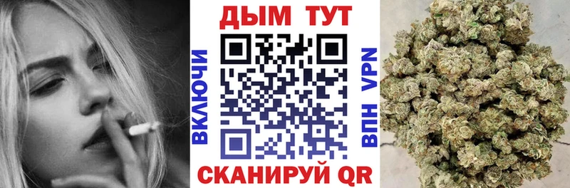 Купить  Дигора  Бошки марихуана ГИДРОПОН 